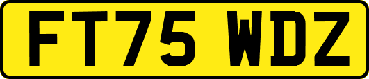 FT75WDZ