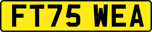 FT75WEA