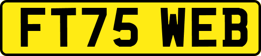 FT75WEB