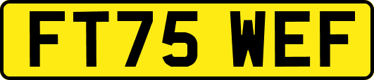 FT75WEF