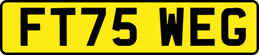 FT75WEG