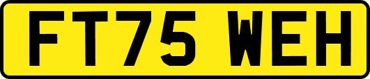 FT75WEH