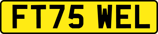FT75WEL