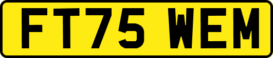 FT75WEM