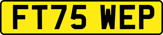 FT75WEP