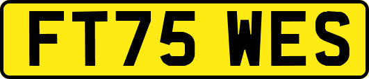 FT75WES