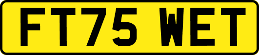 FT75WET