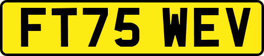 FT75WEV