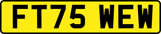 FT75WEW