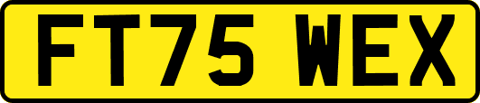 FT75WEX