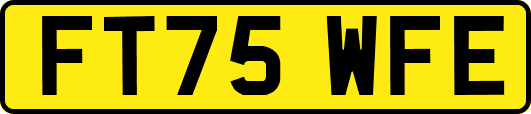 FT75WFE