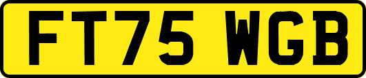 FT75WGB