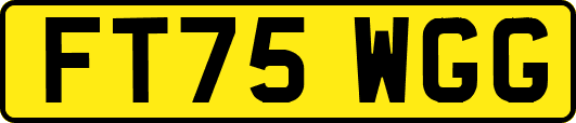 FT75WGG