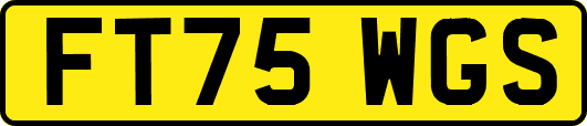 FT75WGS