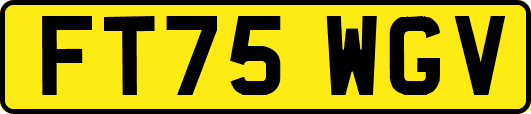 FT75WGV