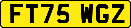 FT75WGZ
