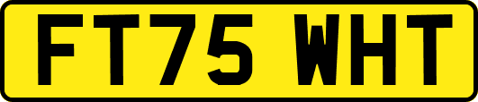 FT75WHT