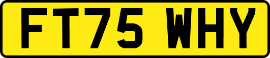 FT75WHY