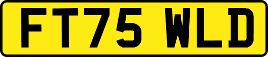 FT75WLD