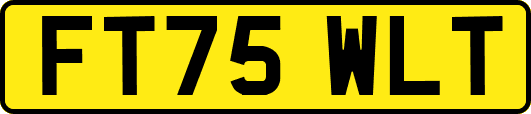 FT75WLT