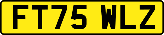 FT75WLZ