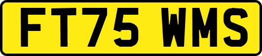 FT75WMS