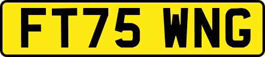 FT75WNG