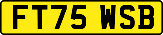 FT75WSB