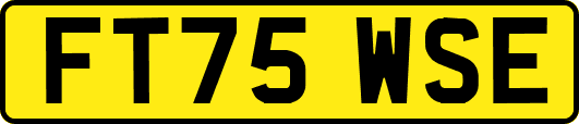 FT75WSE