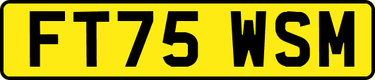 FT75WSM