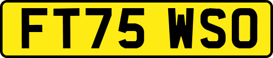 FT75WSO
