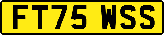 FT75WSS