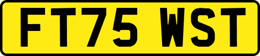 FT75WST