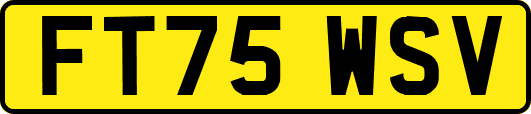 FT75WSV