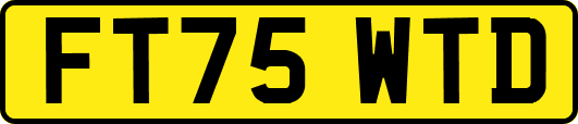 FT75WTD