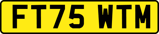 FT75WTM