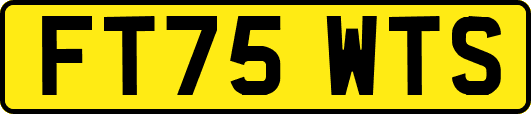 FT75WTS