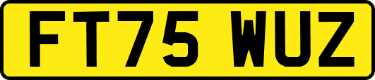 FT75WUZ