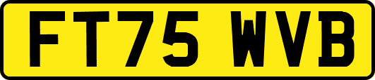 FT75WVB