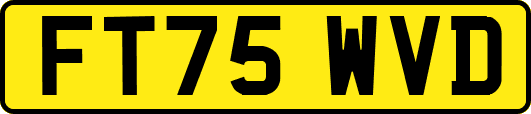 FT75WVD