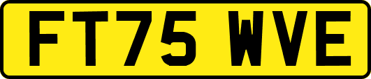 FT75WVE