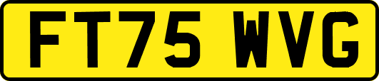 FT75WVG