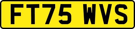 FT75WVS