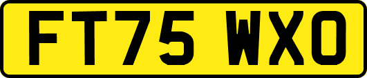 FT75WXO