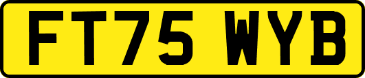 FT75WYB