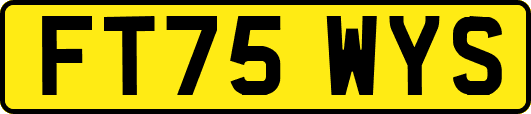 FT75WYS