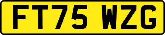 FT75WZG