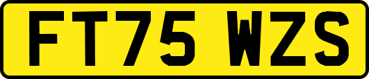 FT75WZS