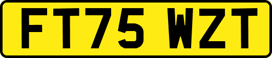 FT75WZT
