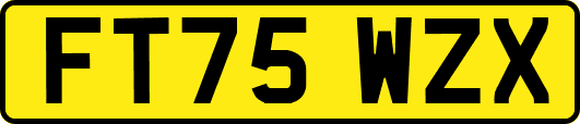 FT75WZX